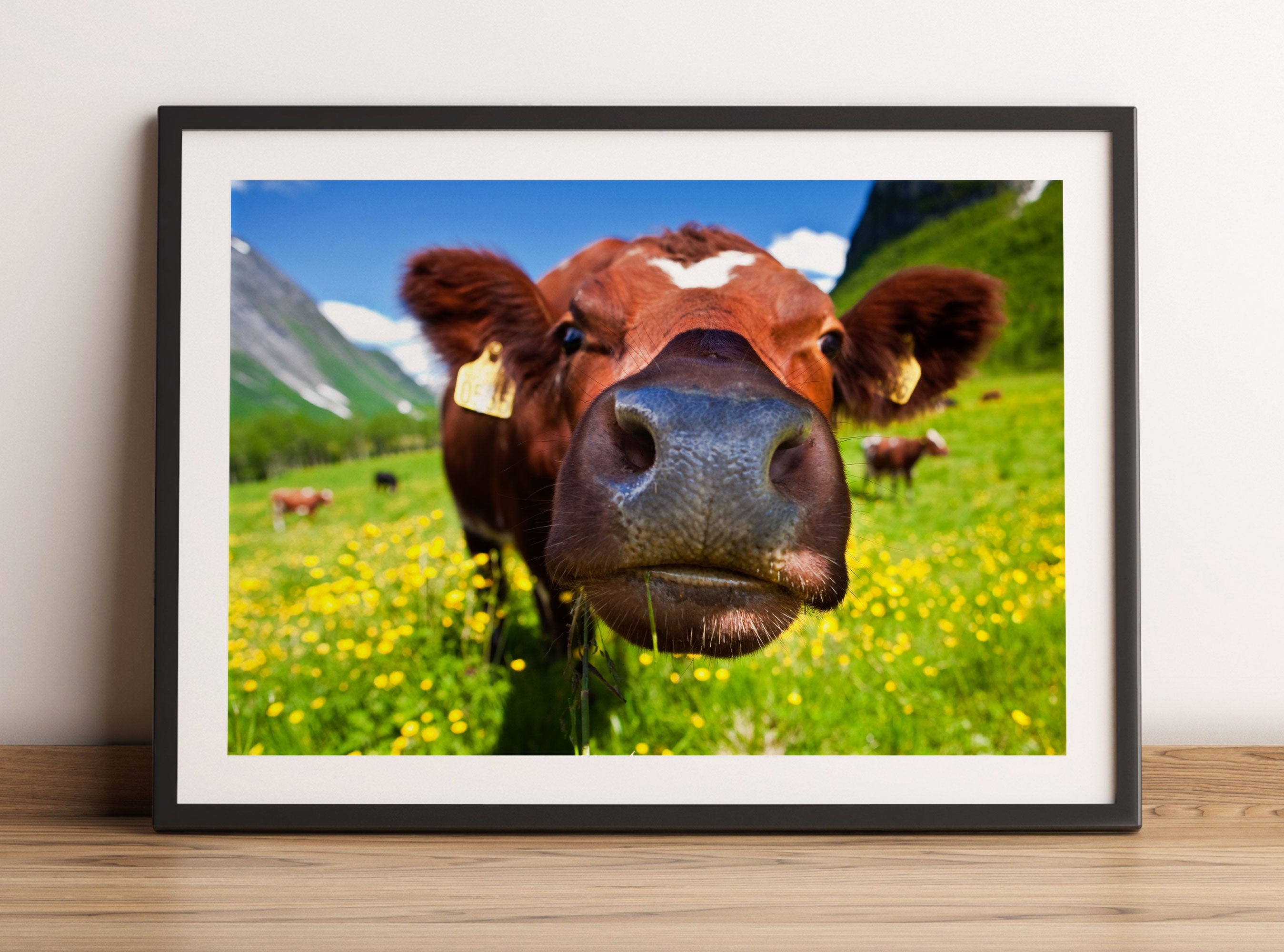 Alpen Kuh auf Bergwiese, Gerahmtes Bild