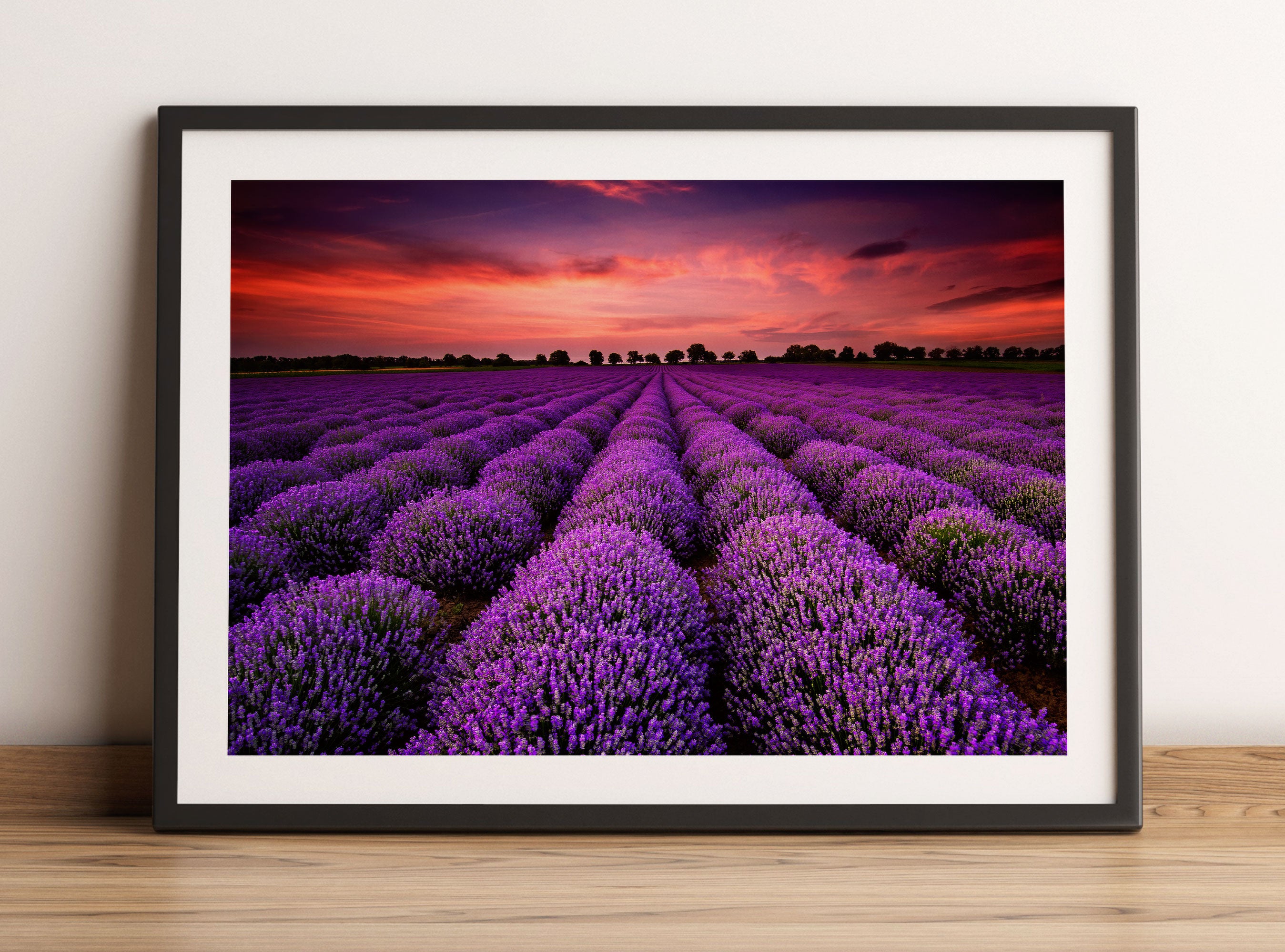 Wunderschöne Lavendel Provence, Gerahmtes Bild