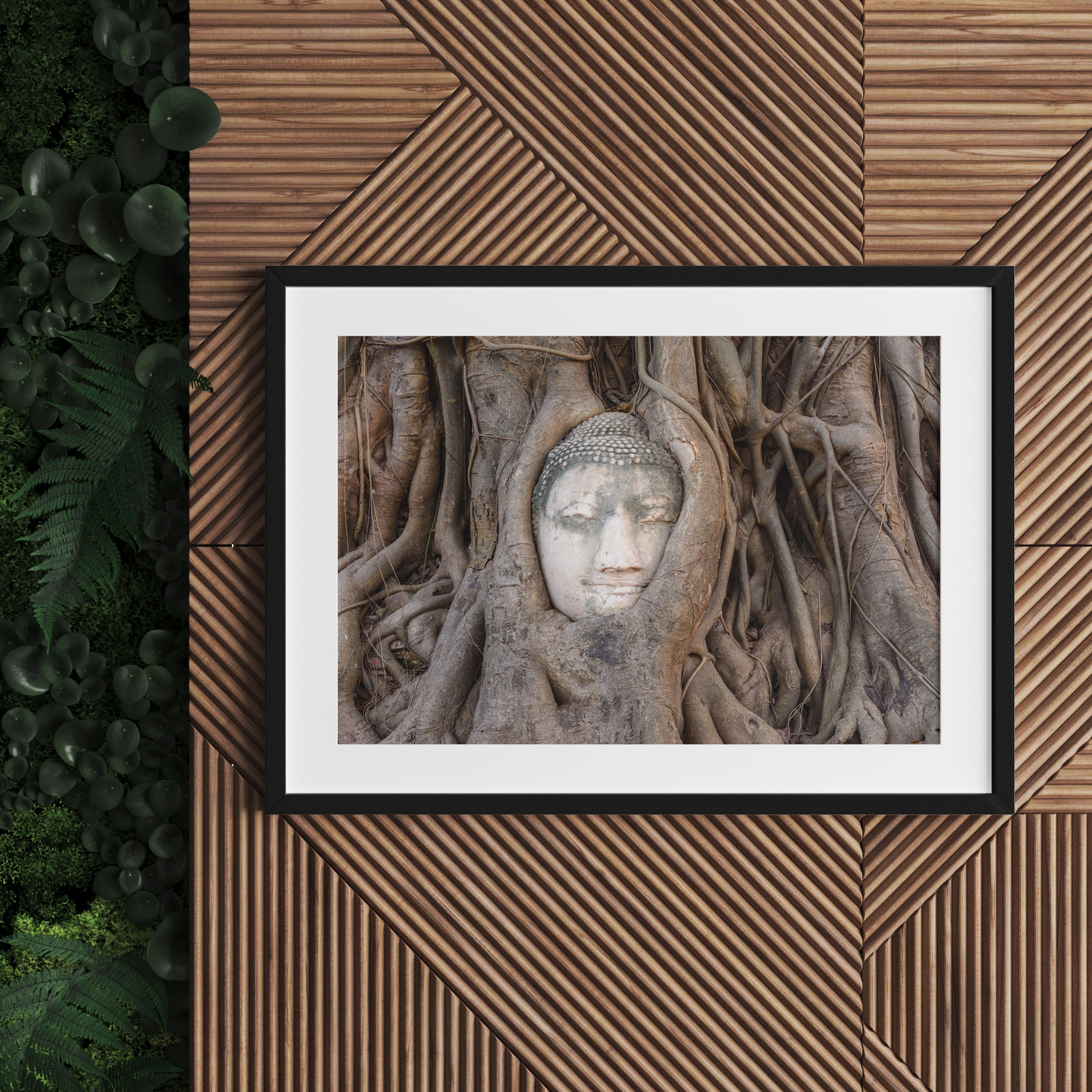 Buddha Kopf im Baum, Gerahmtes Bild