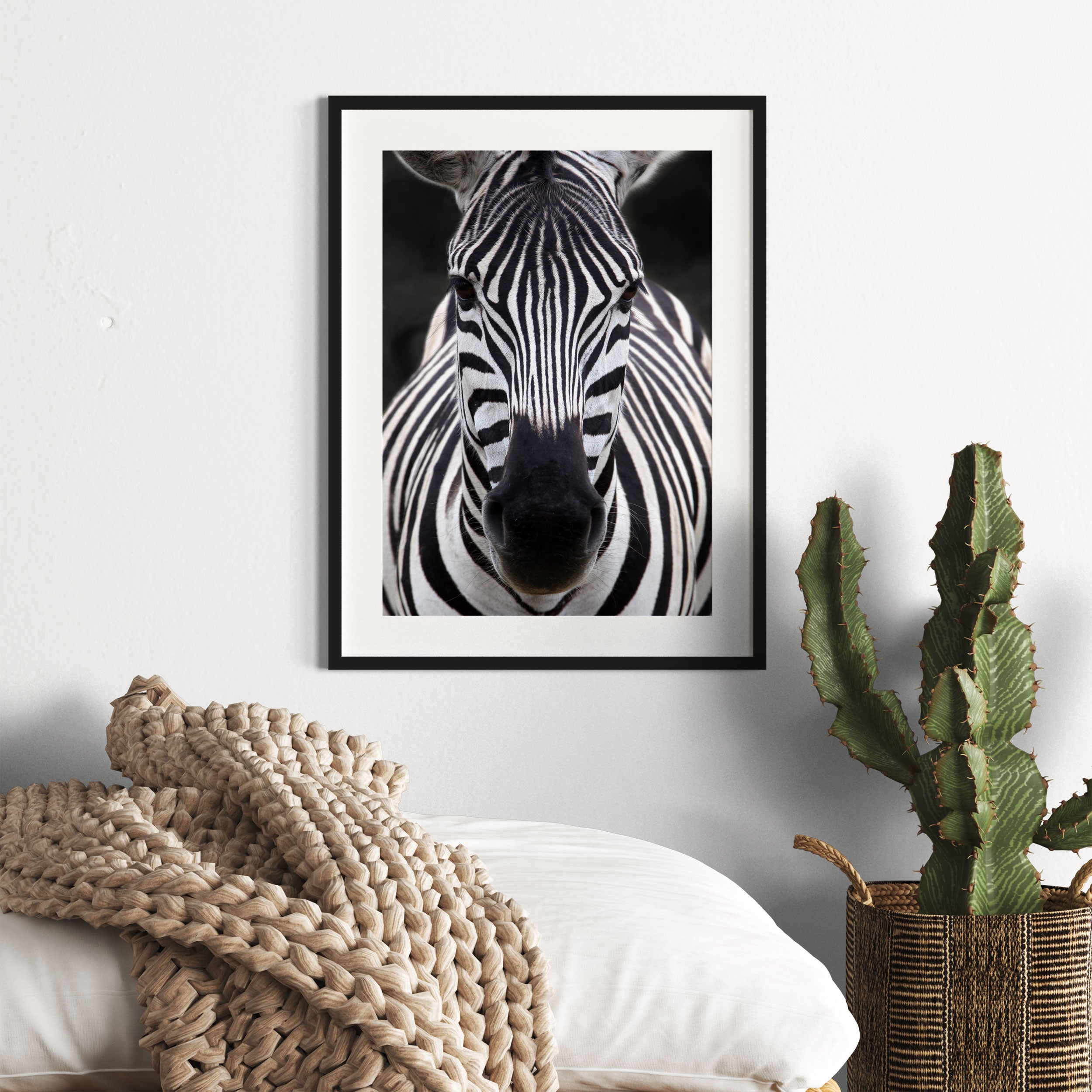 Zebra Porträt, Gerahmtes Bild