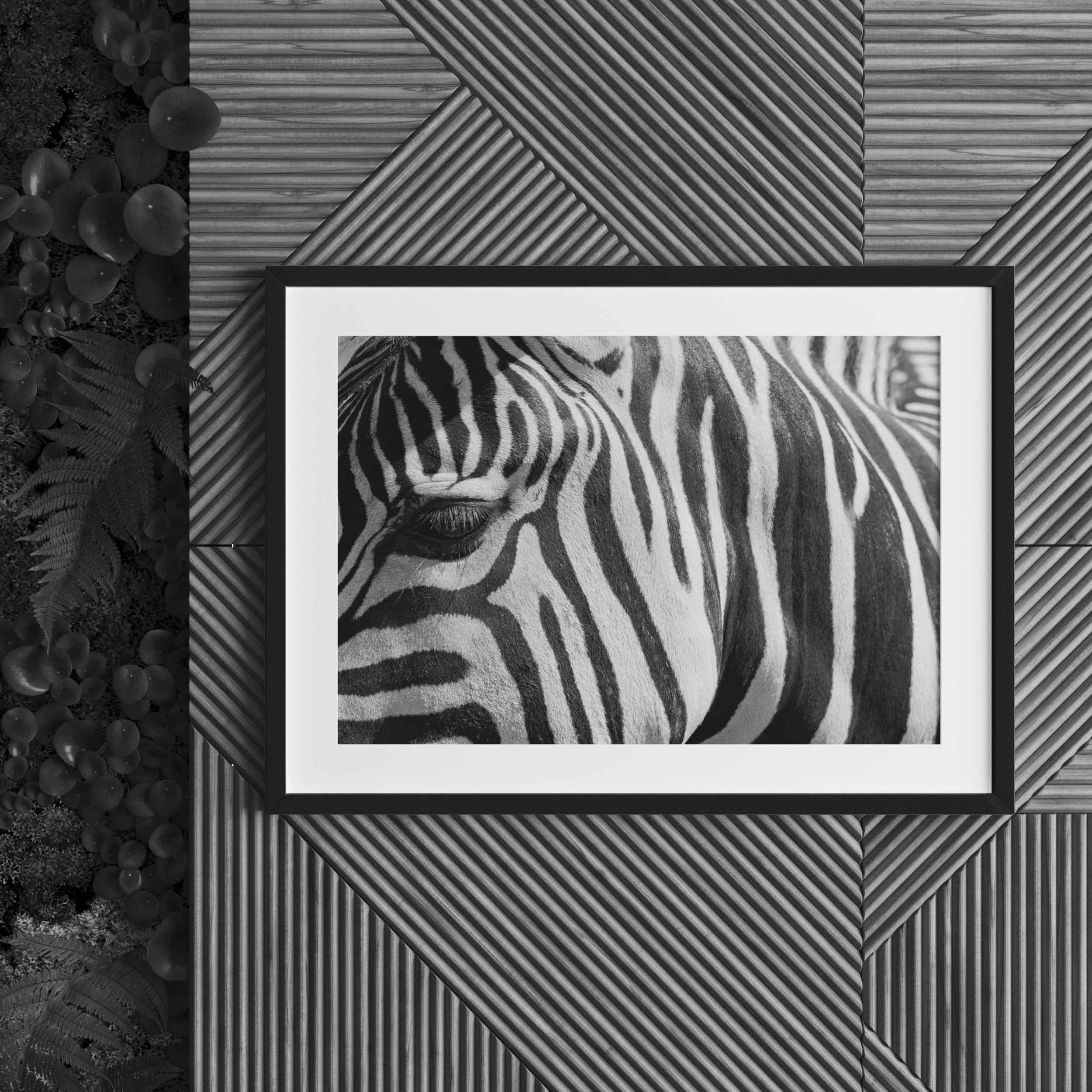 Zebra Porträt, Gerahmtes Bild