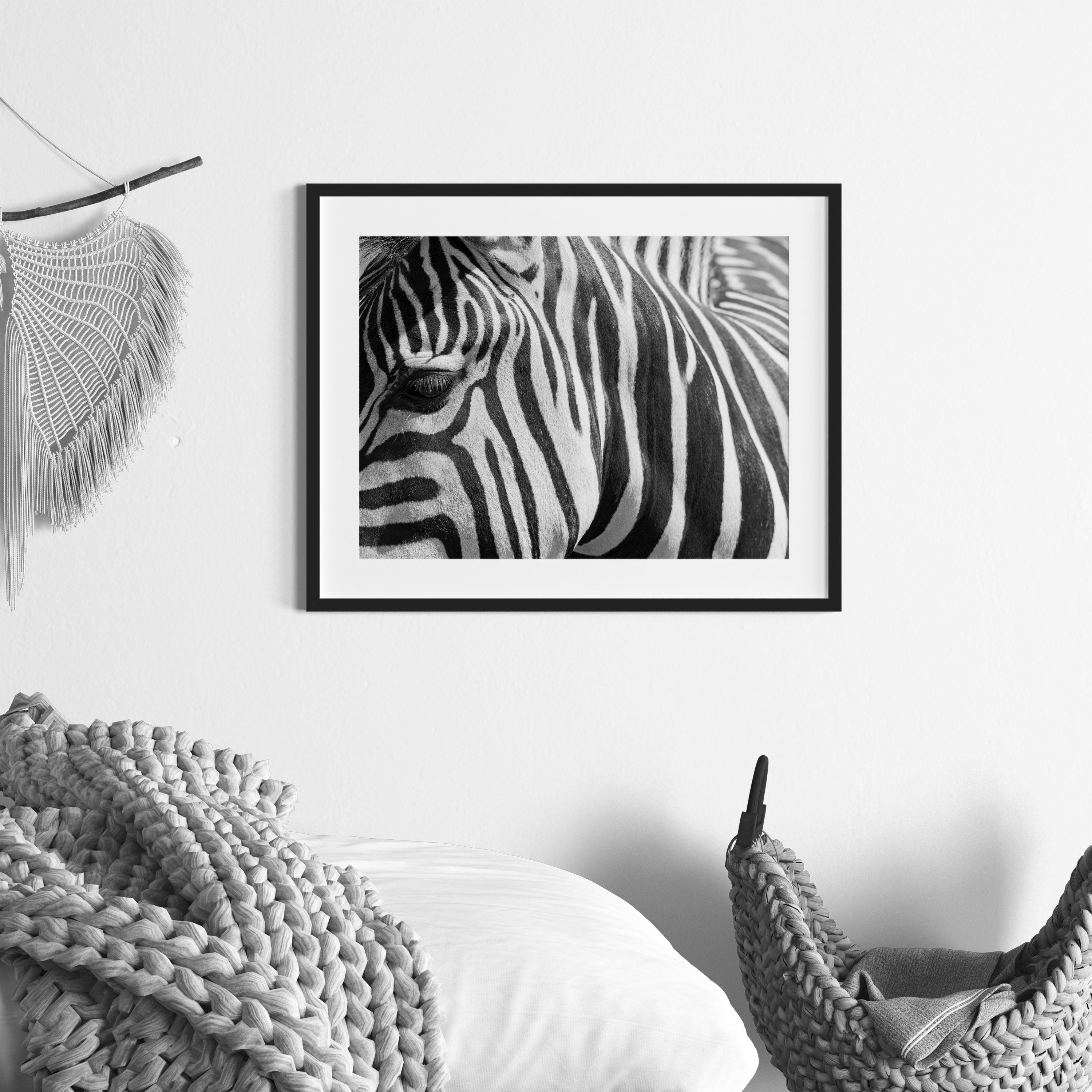 Zebra Porträt, Gerahmtes Bild