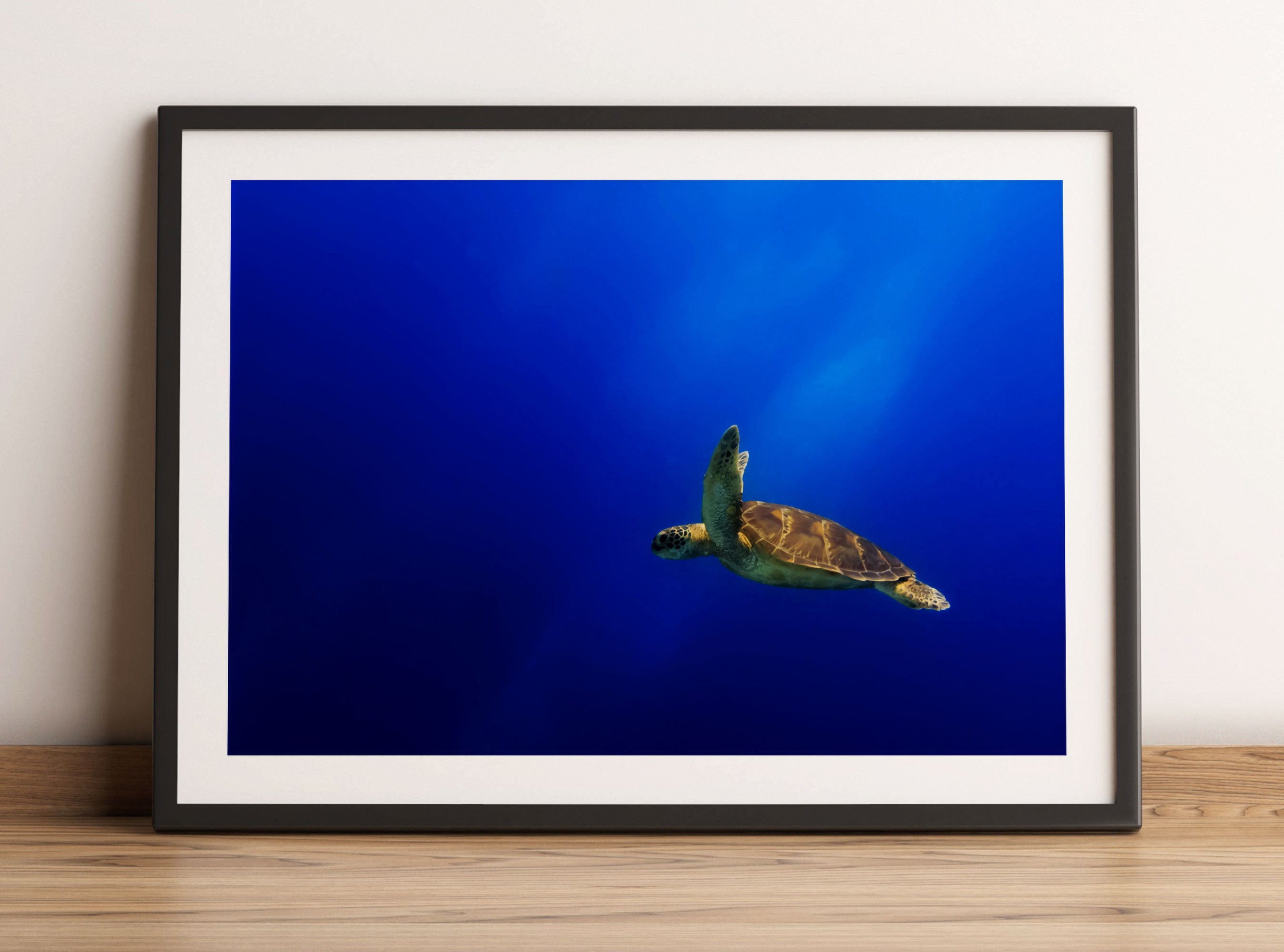 Alte Schildkröte im Meer, Gerahmtes Bild