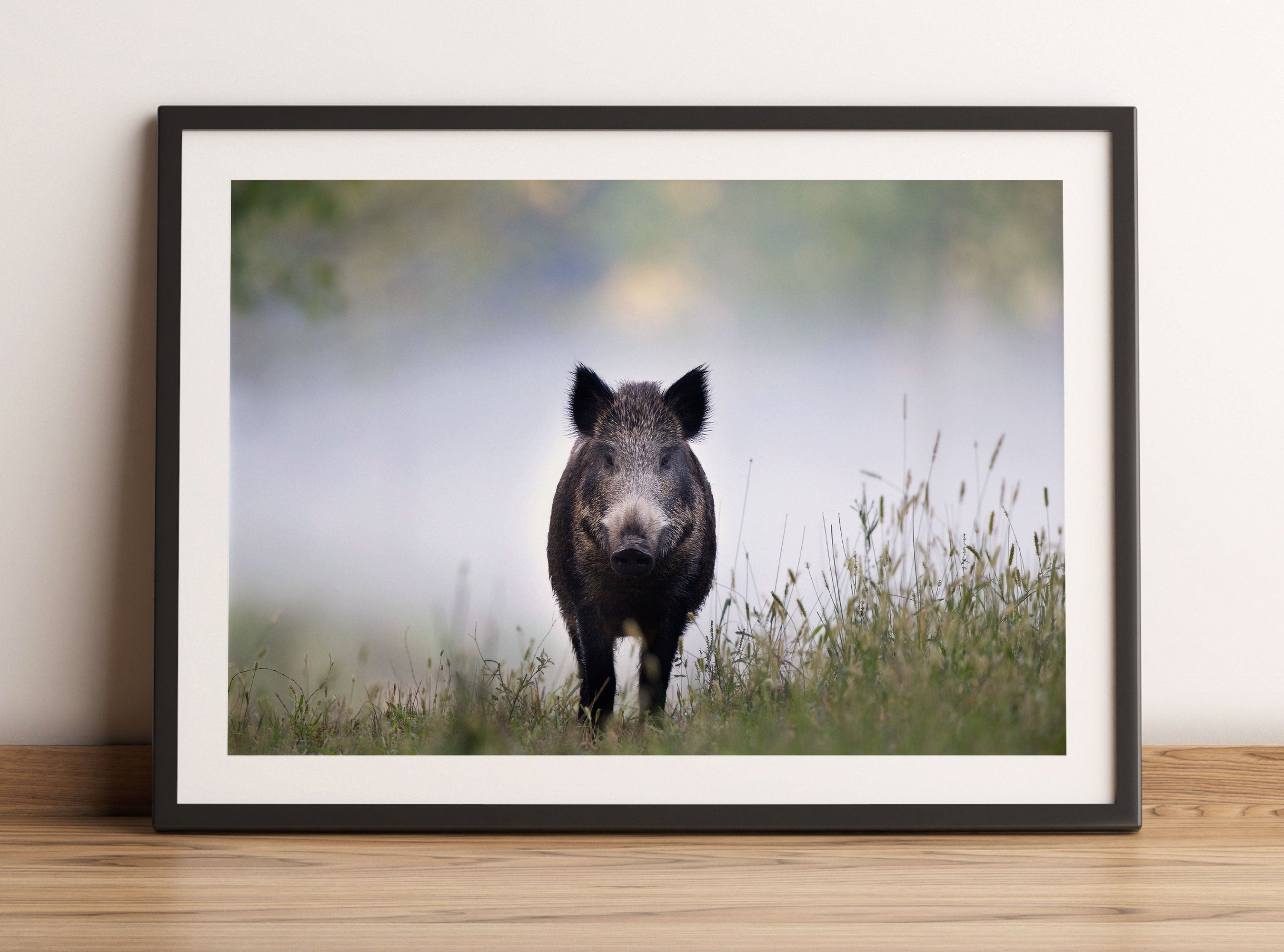 Wildschweinauf einer Wiese im Nebel, Gerahmtes Bild