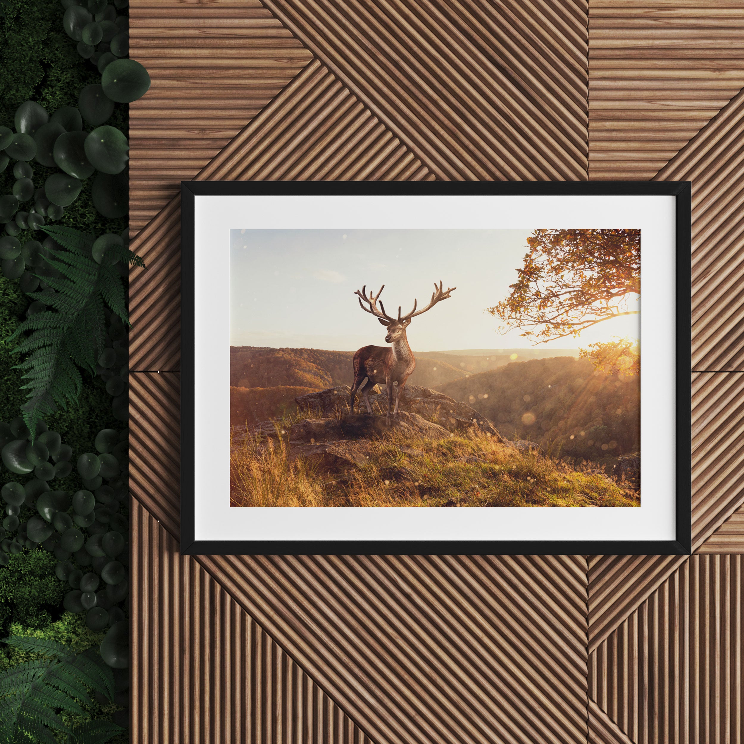 Anmutiger Hirsch bei Sonnenuntergang, Gerahmtes Bild